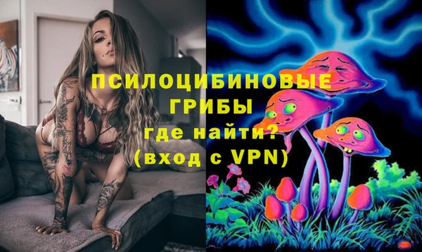 альфа пвп Алексеевка
