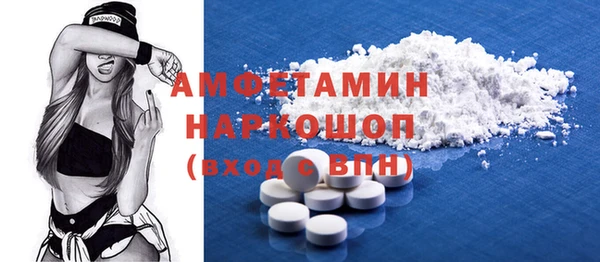 стаф Алексин